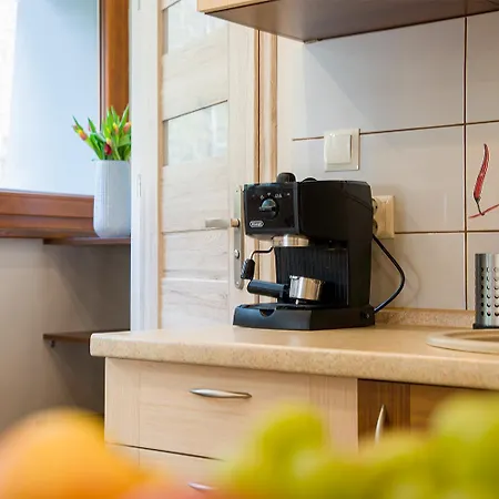 Pod Bukami Bukowa Apartmán Visla